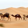 tunisia-733613 tunisia-733613