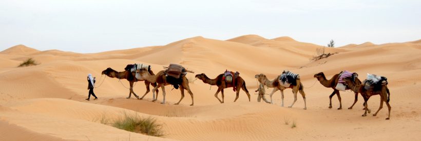 tunisia-733613 tunisia-733613